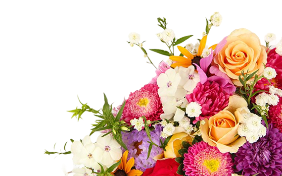 Fresh Flowers Banner